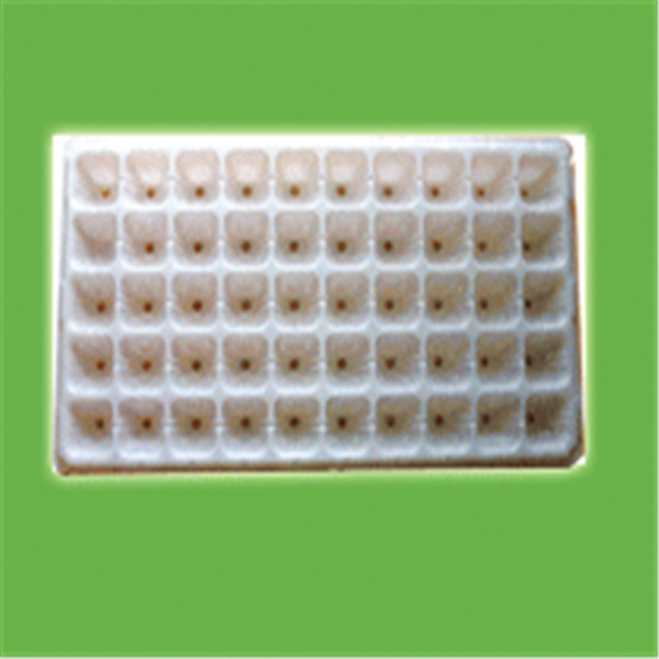 育苗穴盘