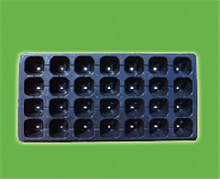 育苗穴盘